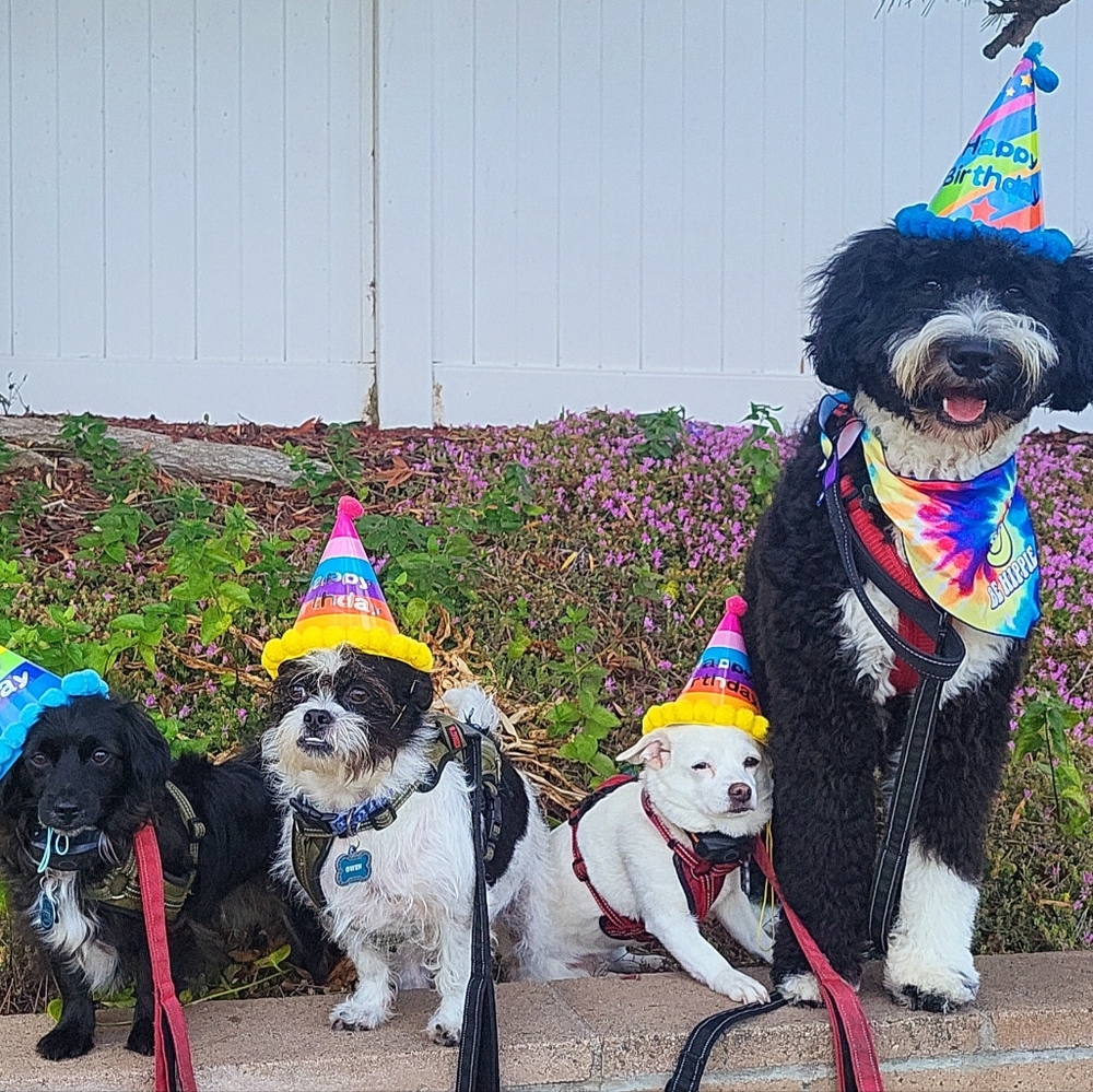 Meet your Posher, Margie-lulu